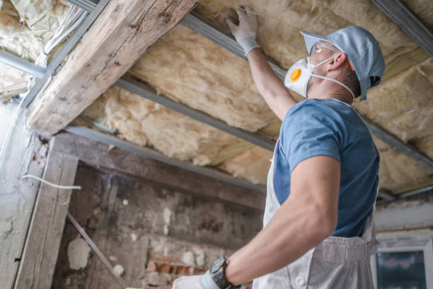 Best Spray Foam Insulation  in Batesburg Leesville, SC