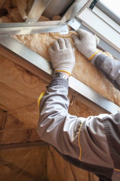Best Residential Insulation Services  in Batesburg Leesville, SC
