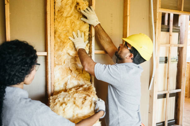 Best Affordable Insulation Services  in Batesburg Leesville, SC