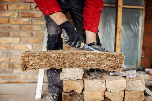 Best Attic Insulation Installation  in Batesburg Leesville, SC
