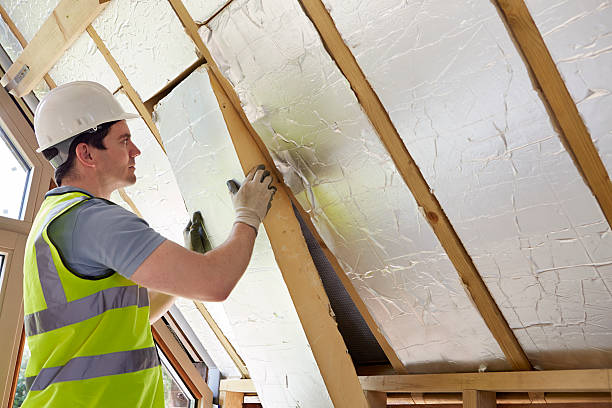 Best Attic Insulation Installation  in Batesburg Leesville, SC