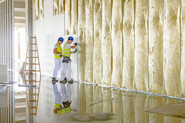 Best Insulation Contractors for Homes  in Batesburg Leesville, SC
